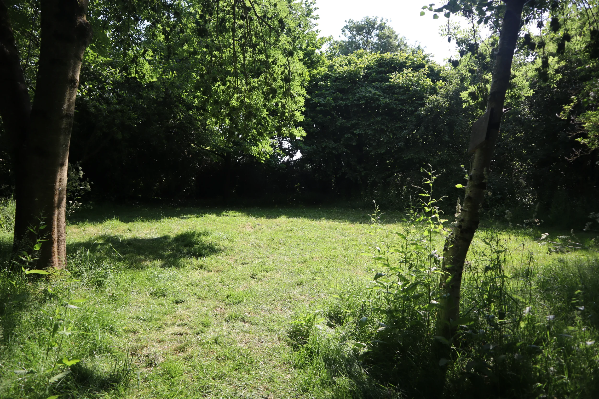 Green garden