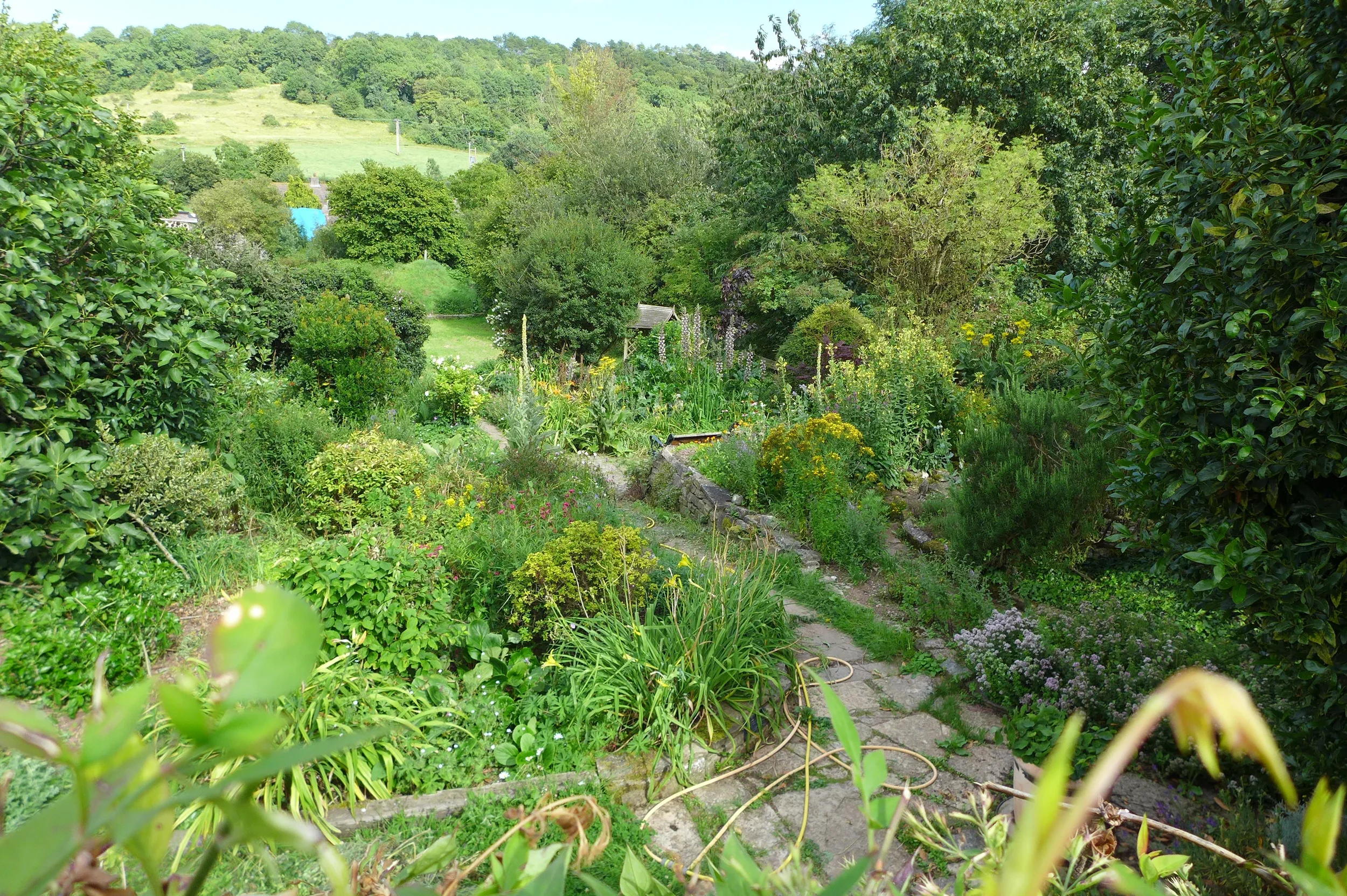 Walking in the garden